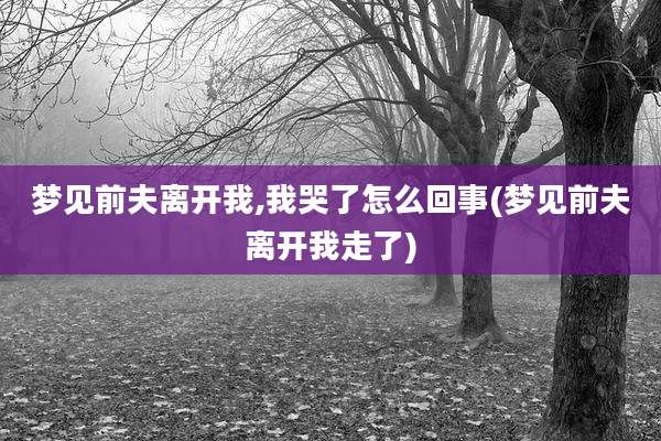 梦见前夫离开我,我哭了怎么回事(梦见前夫离开我走了)