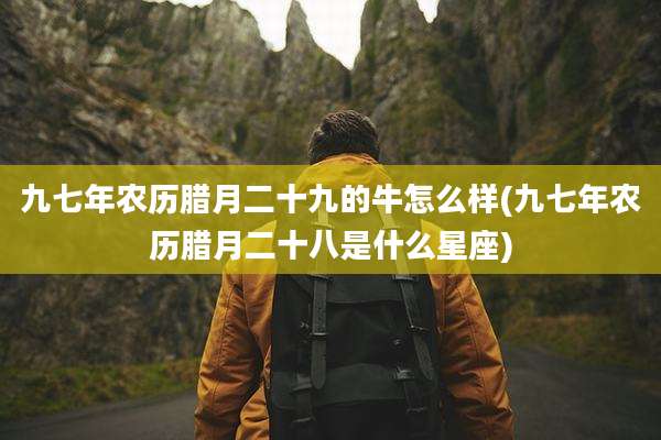 九七年农历腊月二十九的牛怎么样(九七年农历腊月二十八是什么星座)