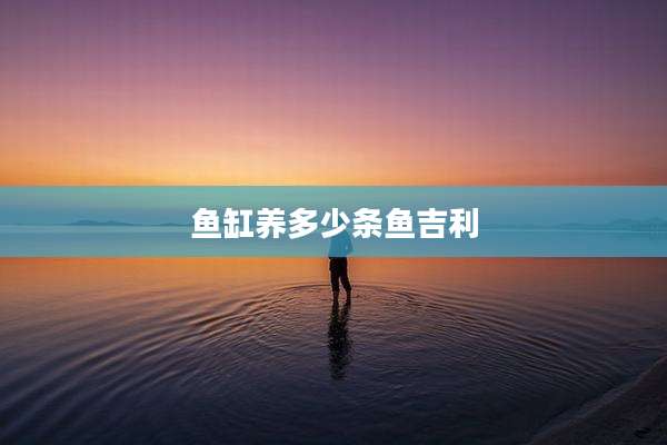 鱼缸养多少条鱼吉利