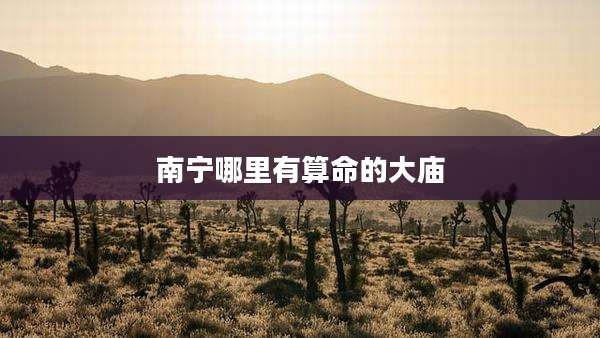 南宁哪里有算命的大庙