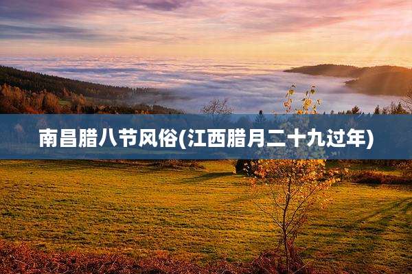 南昌腊八节风俗(江西腊月二十九过年)