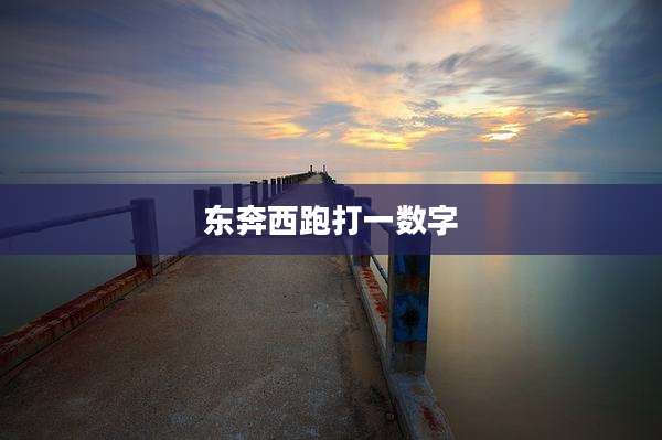 东奔西跑打一数字