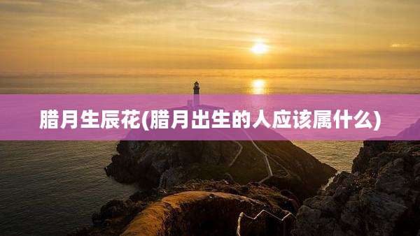 腊月生辰花(腊月出生的人应该属什么)