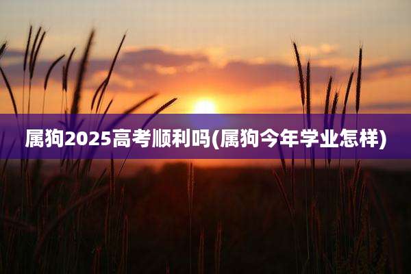 属狗2025高考顺利吗(属狗今年学业怎样)