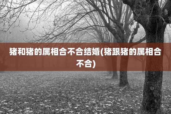 猪和猪的属相合不合结婚(猪跟猪的属相合不合)