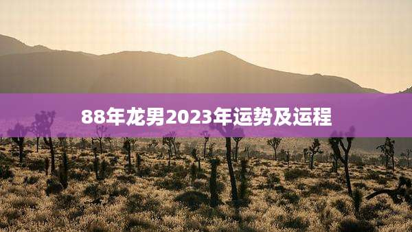 88年龙男2023年运势及运程