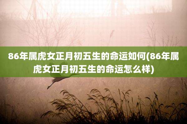86年属虎女正月初五生的命运如何(86年属虎女正月初五生的命运怎么样)