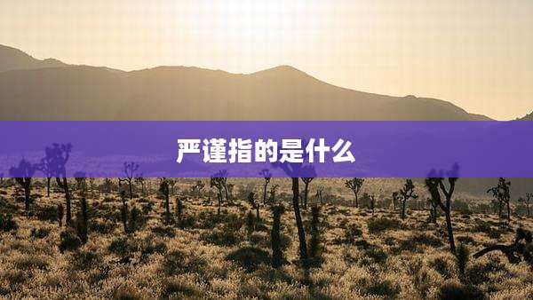 严谨指的是什么