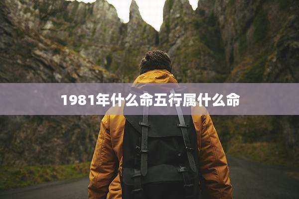 1981年什么命五行属什么命