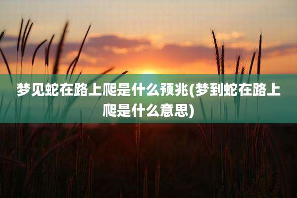 梦见蛇在路上爬是什么预兆(梦到蛇在路上爬是什么意思)