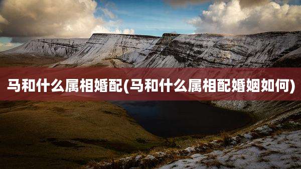 马和什么属相婚配(马和什么属相配婚姻如何)