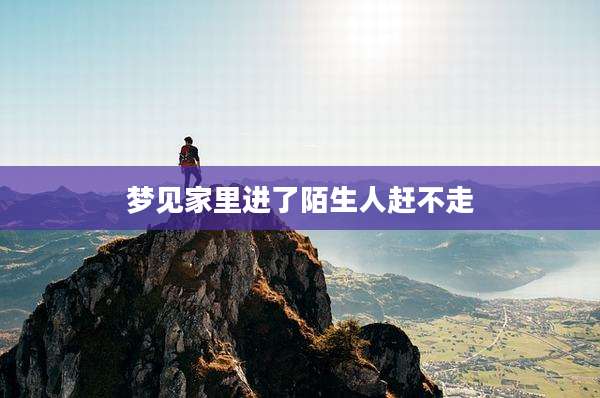 梦见家里进了陌生人赶不走