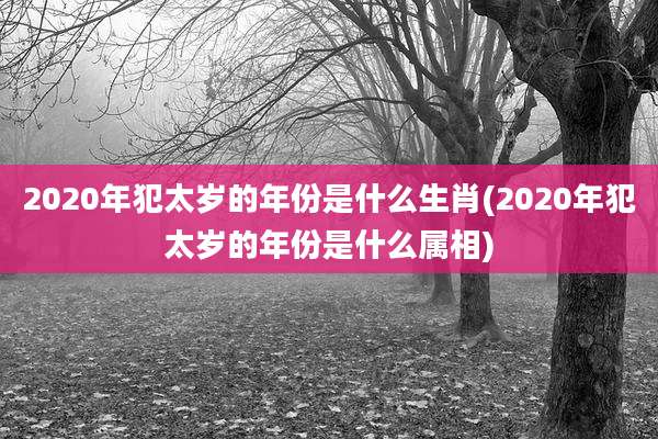 2020年犯太岁的年份是什么生肖(2020年犯太岁的年份是什么属相)