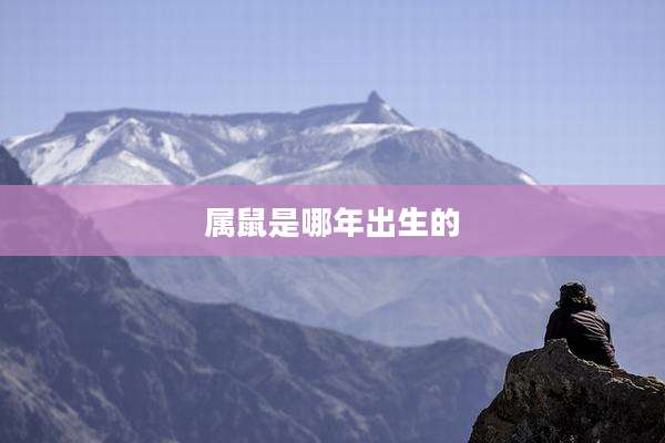 属鼠是哪年出生的