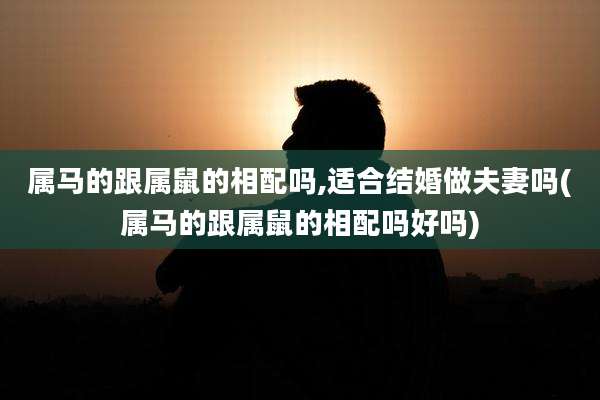 属马的跟属鼠的相配吗,适合结婚做夫妻吗(属马的跟属鼠的相配吗好吗)