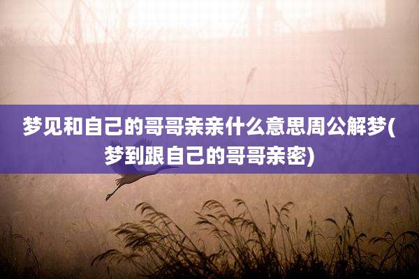 梦见和自己的哥哥亲亲什么意思周公解梦(梦到跟自己的哥哥亲密)
