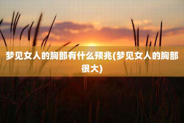 梦见女人的胸部有什么预兆(梦见女人的胸部很大)