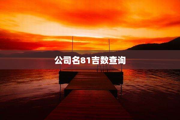 公司名81吉数查询