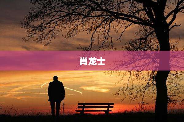 肖龙士