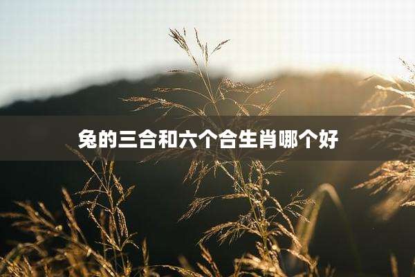 兔的三合和六个合生肖哪个好