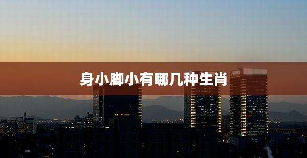 身小脚小有哪几种生肖