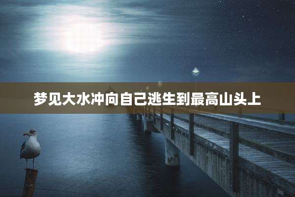 梦见大水冲向自己逃生到最高山头上