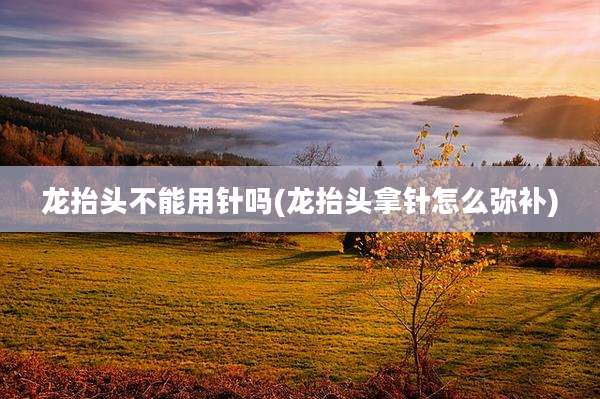 龙抬头不能用针吗(龙抬头拿针怎么弥补)