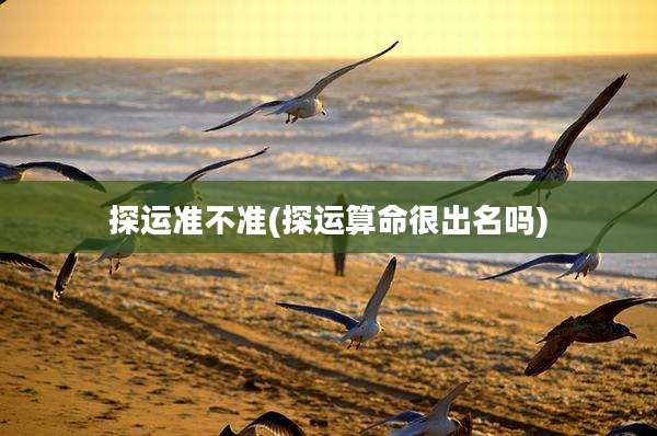 探运准不准(探运算命很出名吗)