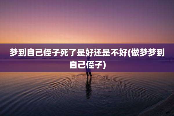 梦到自己侄子死了是好还是不好(做梦梦到自己侄子)