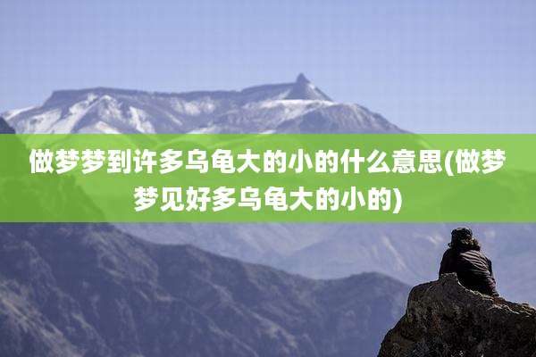 做梦梦到许多乌龟大的小的什么意思(做梦梦见好多乌龟大的小的)