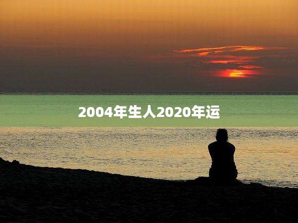 2004年生人2020年运