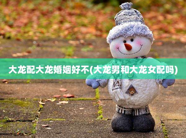 大龙配大龙婚姻好不(大龙男和大龙女配吗)