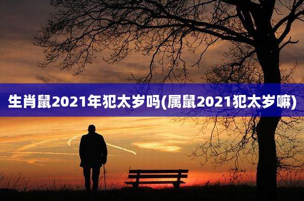 生肖鼠2021年犯太岁吗(属鼠2021犯太岁嘛)