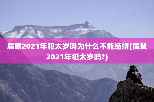属鼠2021年犯太岁吗为什么不能结婚(属鼠2021年犯太岁吗?)