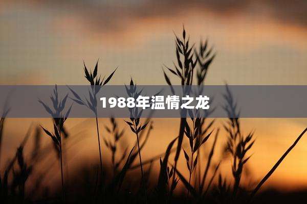 1988年温情之龙