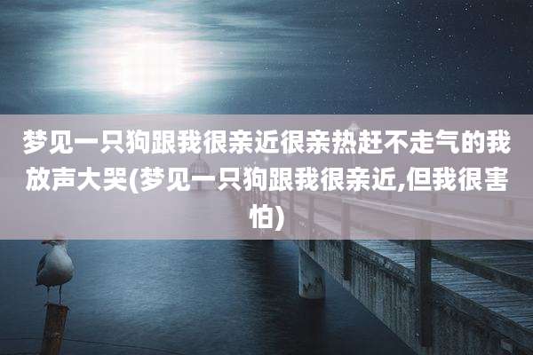 梦见一只狗跟我很亲近很亲热赶不走气的我放声大哭(梦见一只狗跟我很亲近,但我很害怕)
