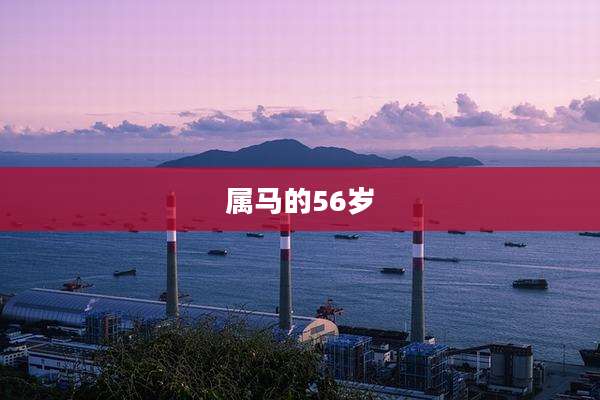 属马的56岁