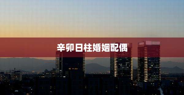 辛卯日柱婚姻配偶