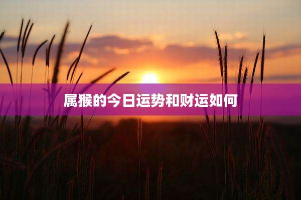 属猴的今日运势和财运如何