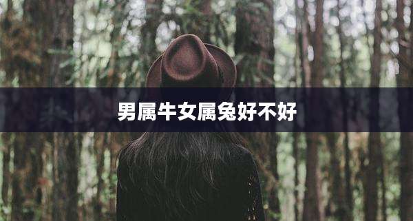 男属牛女属兔好不好