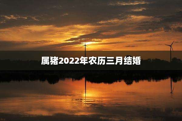 属猪2022年农历三月结婚