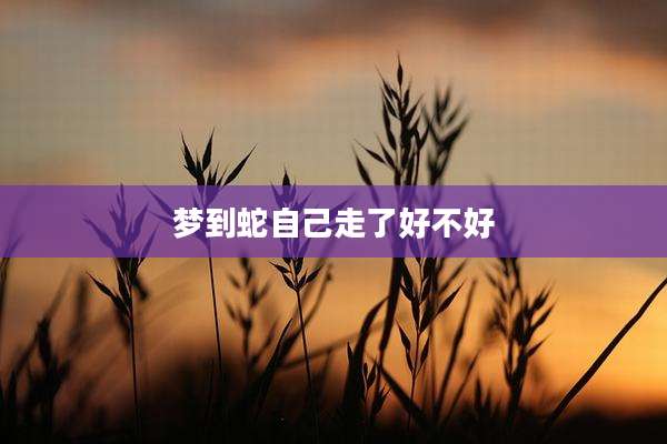 梦到蛇自己走了好不好