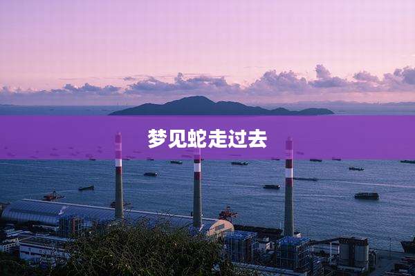 梦见蛇走过去