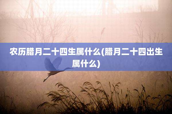 农历腊月二十四生属什么(腊月二十四出生属什么)
