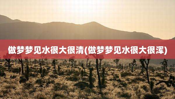 做梦梦见水很大很清(做梦梦见水很大很浑)