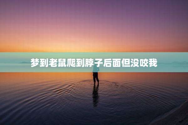 梦到老鼠爬到脖子后面但没咬我