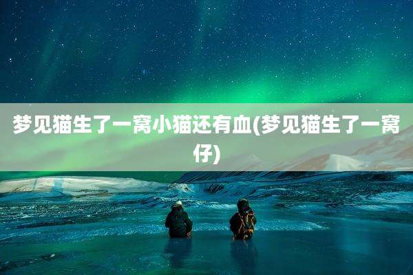 梦见猫生了一窝小猫还有血(梦见猫生了一窝仔)