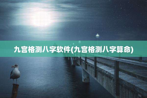 九宫格测八字软件(九宫格测八字算命)
