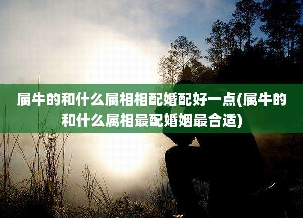 属牛的和什么属相相配婚配好一点(属牛的和什么属相最配婚姻最合适)