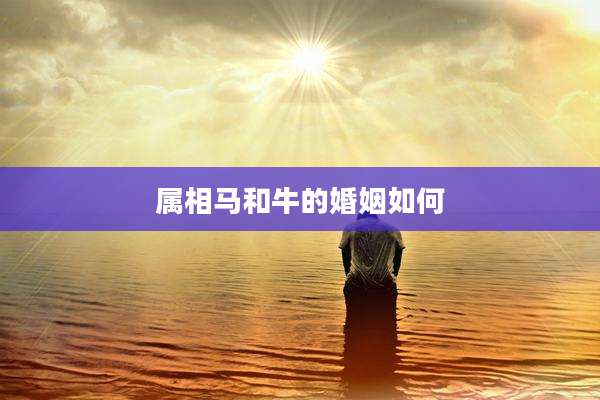 属相马和牛的婚姻如何